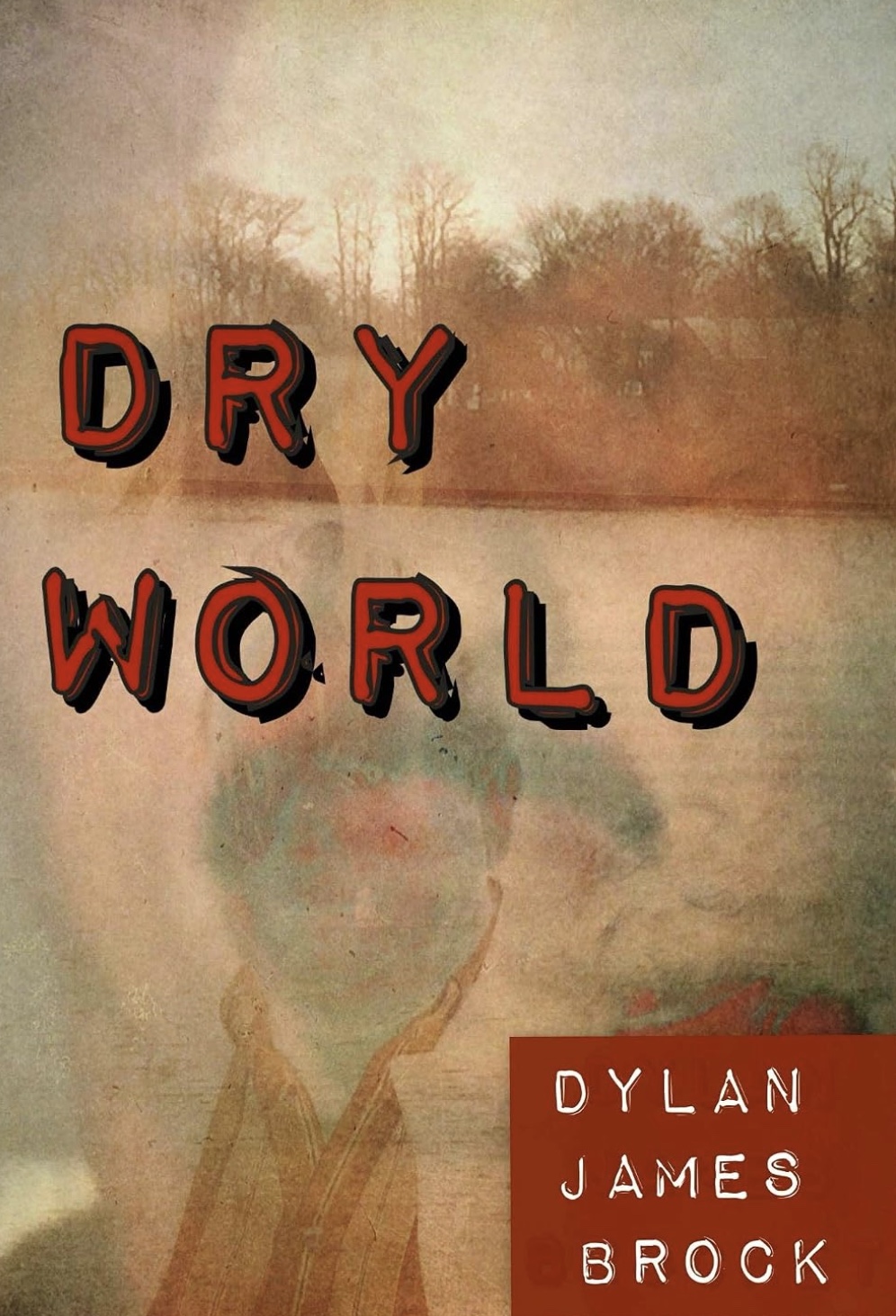 Cover of Dry World by Dylan James Brock